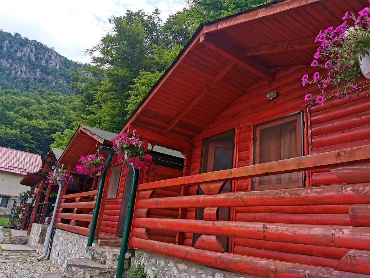 Casa Beasarah. Villa Dubova Exterior photo